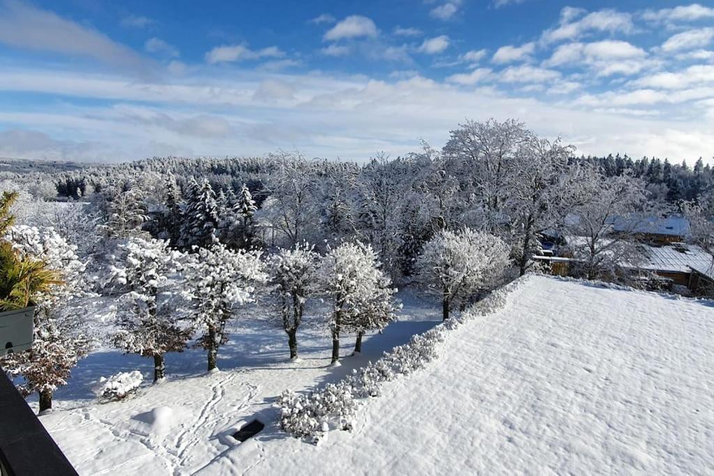 Black Forest Bergliebe Pool Terrasse Natur Ruhe Komfort Höchenschwand Exteriér fotografie
