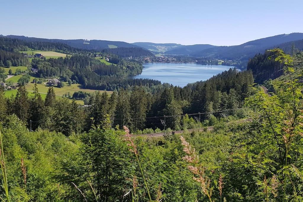 Black Forest Bergliebe Pool Terrasse Natur Ruhe Komfort Höchenschwand Exteriér fotografie